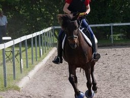 img-00891-556